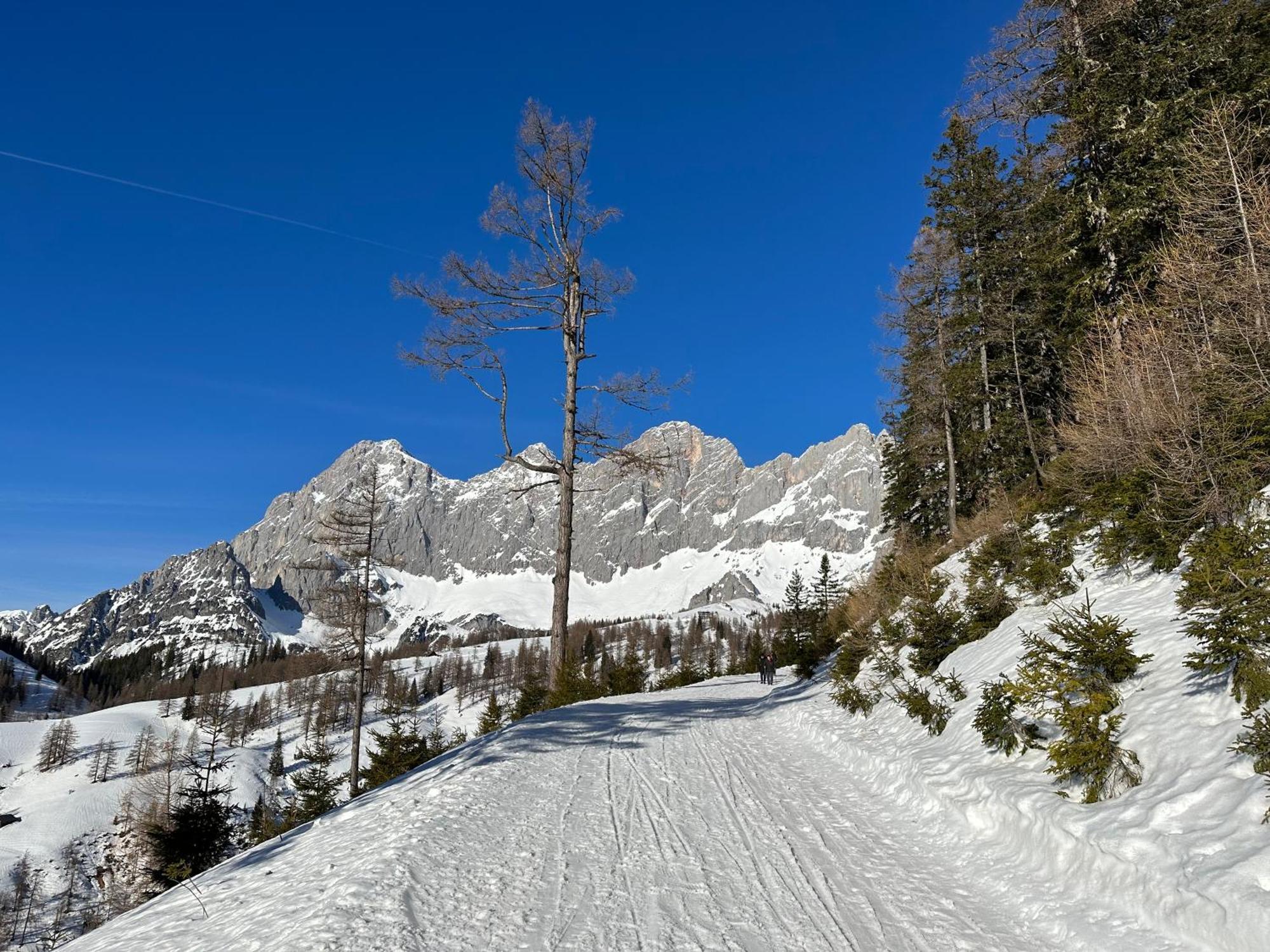 Appartements By Chalet Reiteralm -Sommercard Schladming Esterno foto